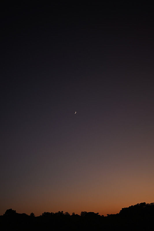 Crescent moon above horizon